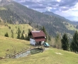 Cazare si Rezervari la Casa La Cabana din Baile Borsa Maramures